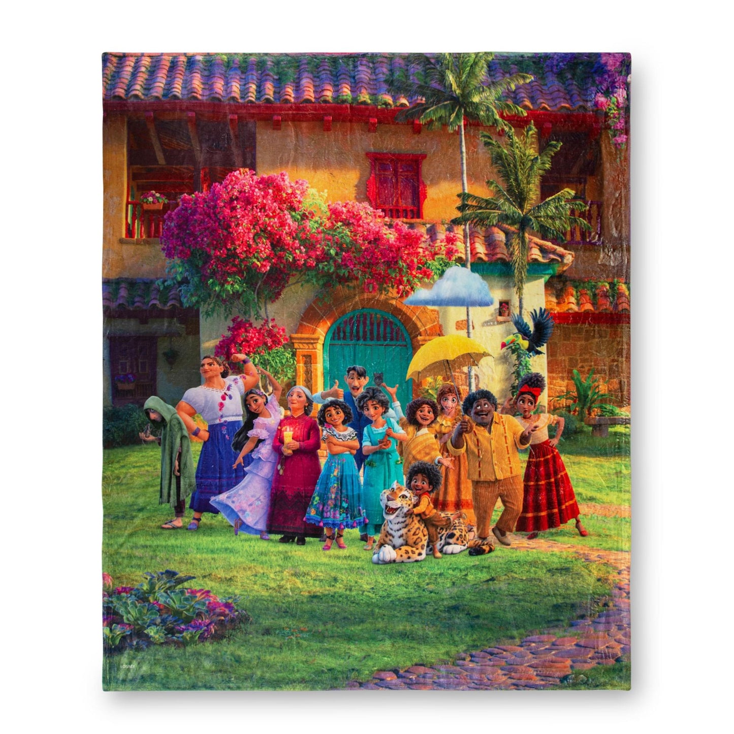 Disney Encanto Family Portrait Silk-Touch Throw Blanket § 50 x 60 Inches