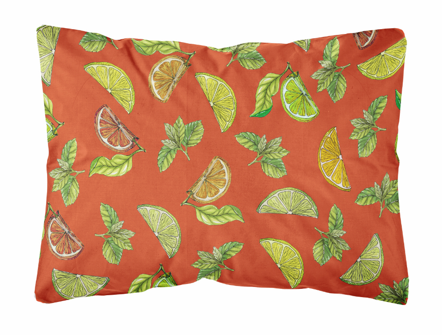 Fruits Art Canvas Decorative Pillow