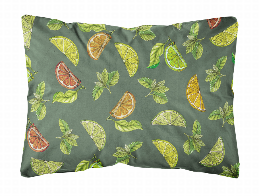 Fruits Art Canvas Decorative Pillow