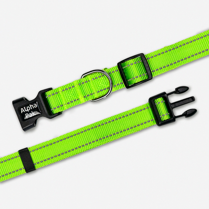 Appalachian Kiwi Green Dog Collar