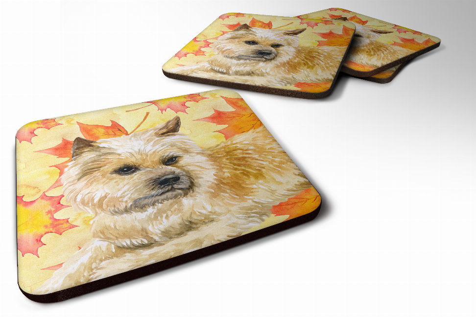 Fall Leaves with Dog Foam Coaster Set of 4