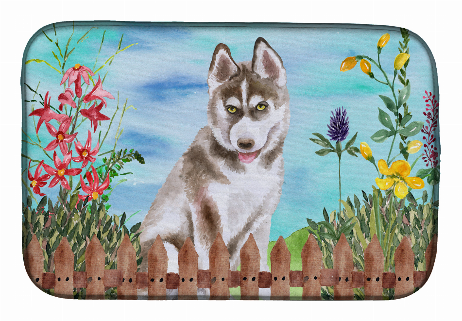 Spring Dog on Dish Drying Mat