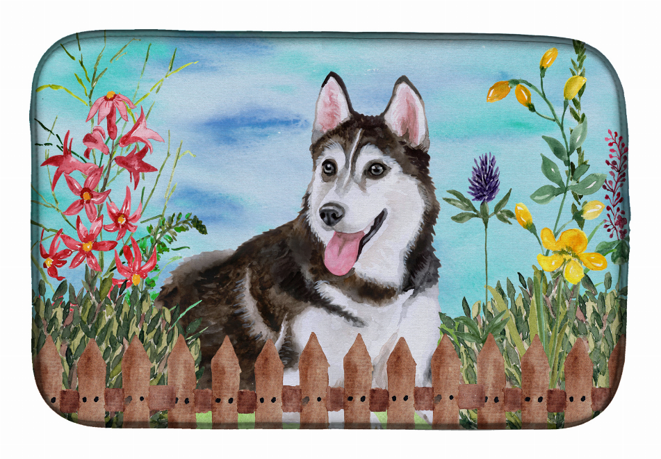 Spring Dog on Dish Drying Mat