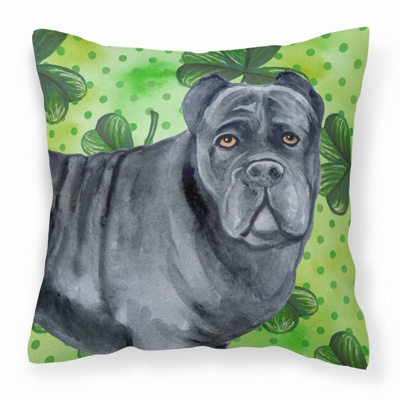 St Patrick's With Dog Fabric Decorative Pillow