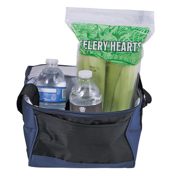 Hot & Cold Cooler Bag