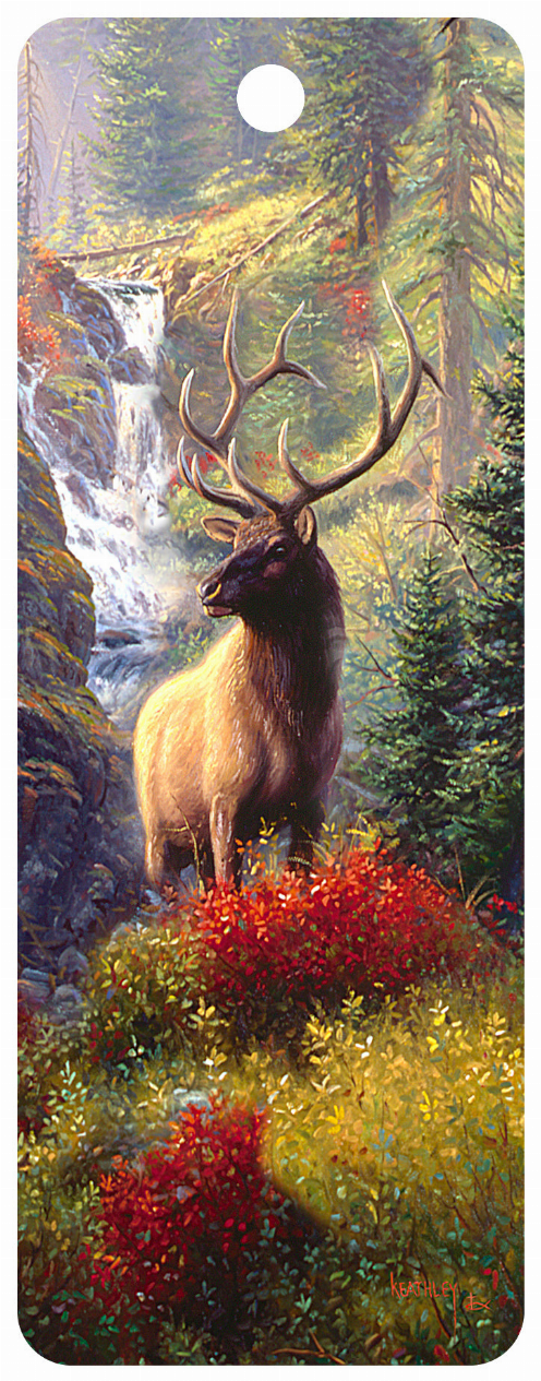 Bull Elk - 3D Bookmark