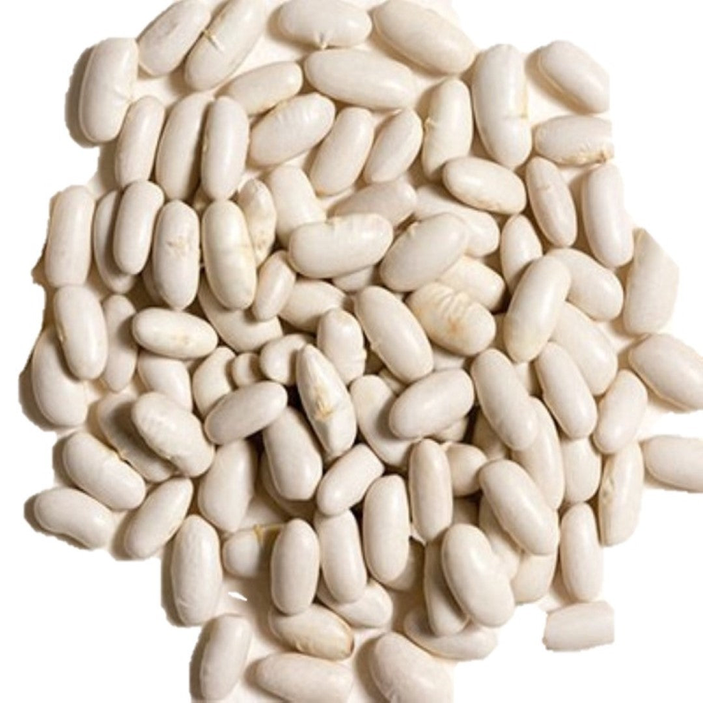 Cannellini Beans White Kidney Beans