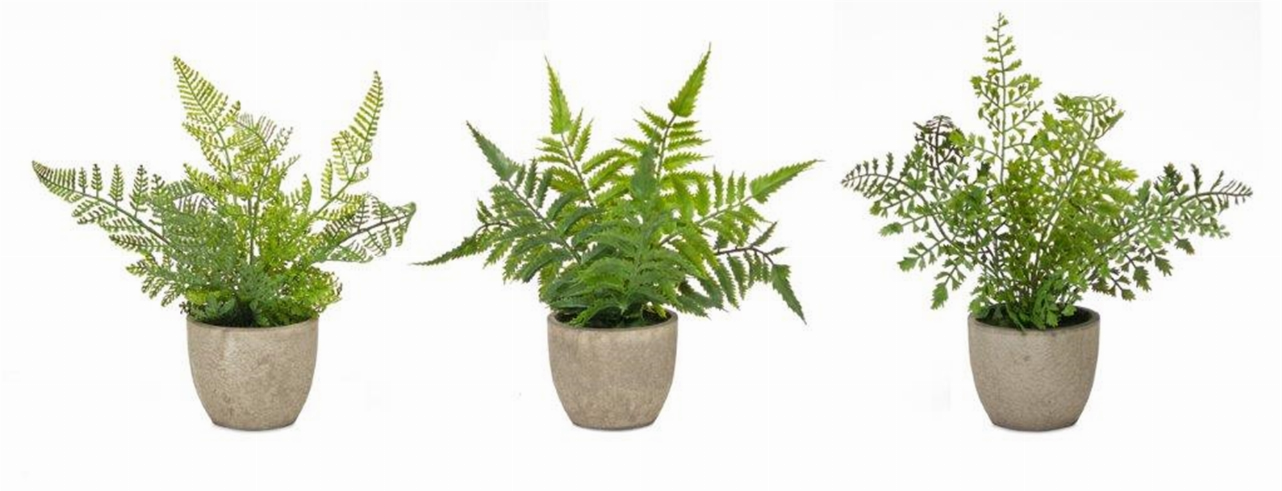 Potted Fern (Set of 3) 9.5"H Plastic