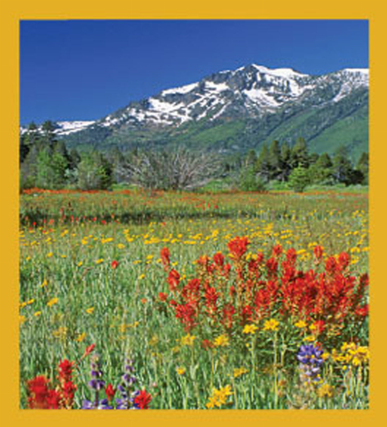 Mount Tallac, Lake Tahoe - Magnetic Bookmark