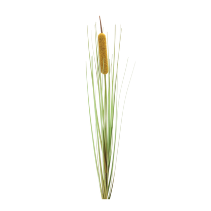 Cattail Bush