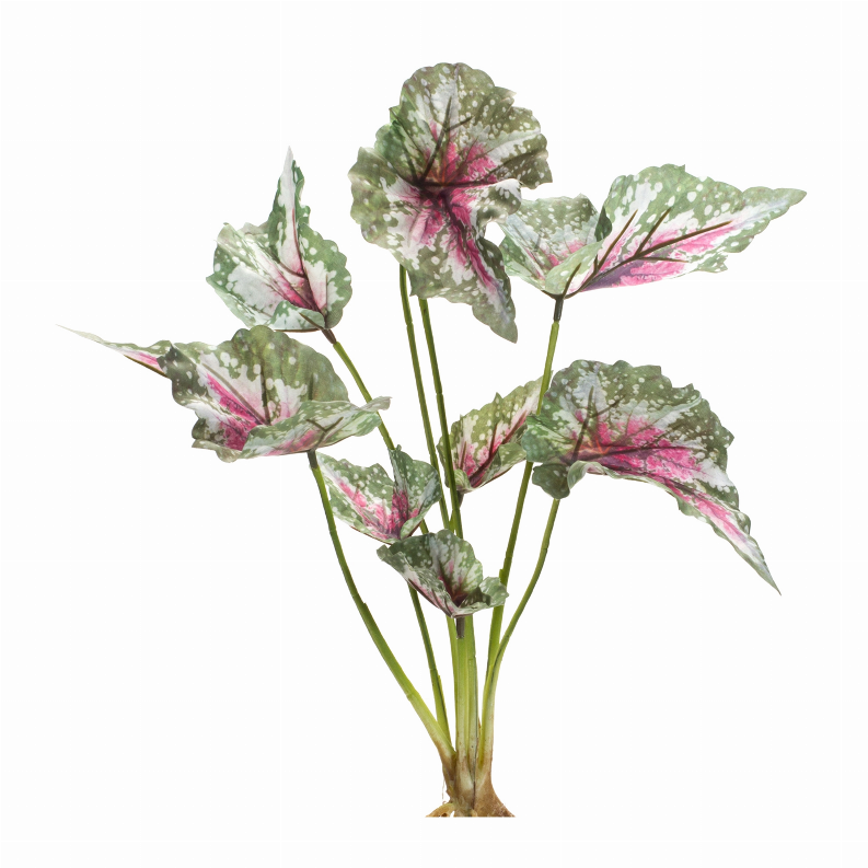 Caladium Bush (Set of 6) 18.5"H Polyester