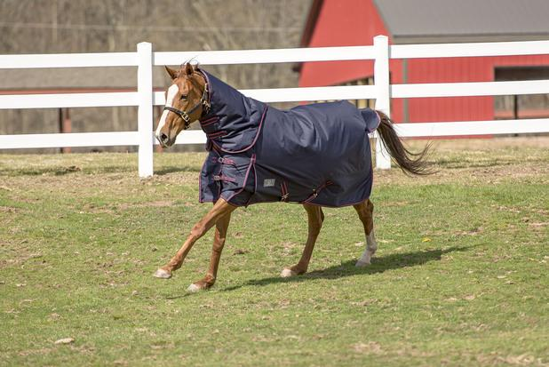 Tuffrider Comfy Heavy Weight Detachable Neck Winter Blanket with 350 gms of Fill