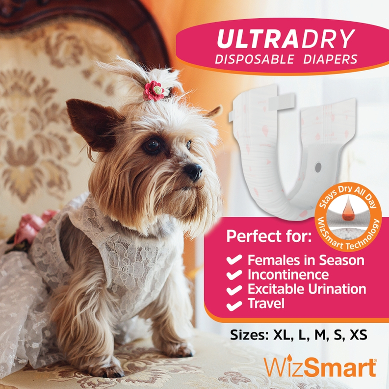 WizSmart UltraDry Disposable Diapers