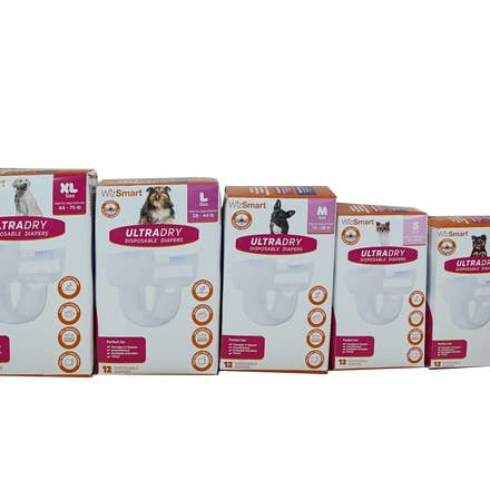 WizSmart UltraDry Disposable Diapers