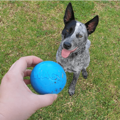 SP Wag Ball Ultra Durable Synthetic Rubber Chew Toy & Floating Retrieving Toy