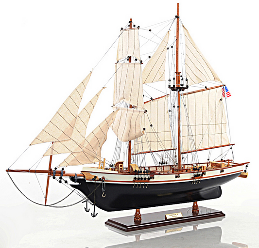 Painted Harvey Model Clipper