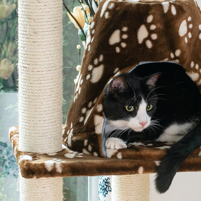 Armarkat Cat Tree Hammock Bed for Cats and Kittens, A6601