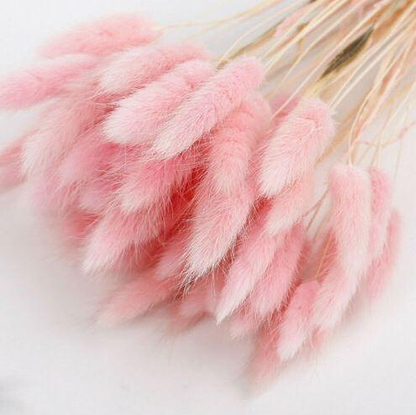 Bunny Tails