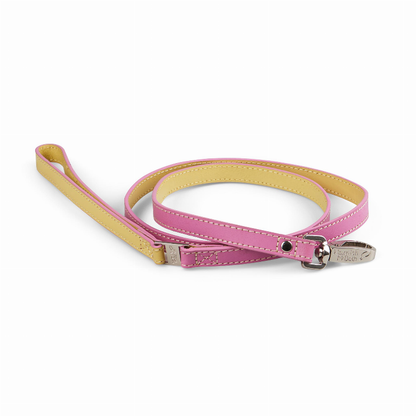 Beige Dog Lead