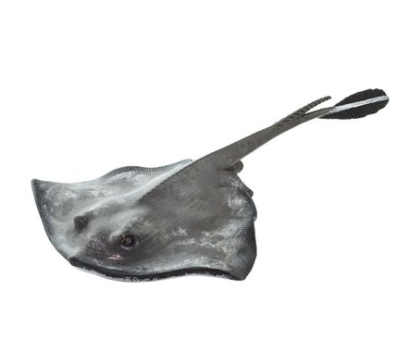 Sting Ray Figurine