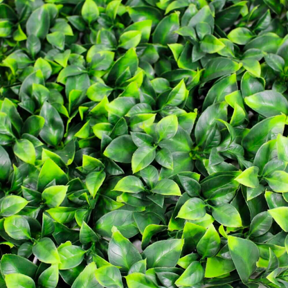 Jasmine Green Wall 32.29 square foot UV Protected