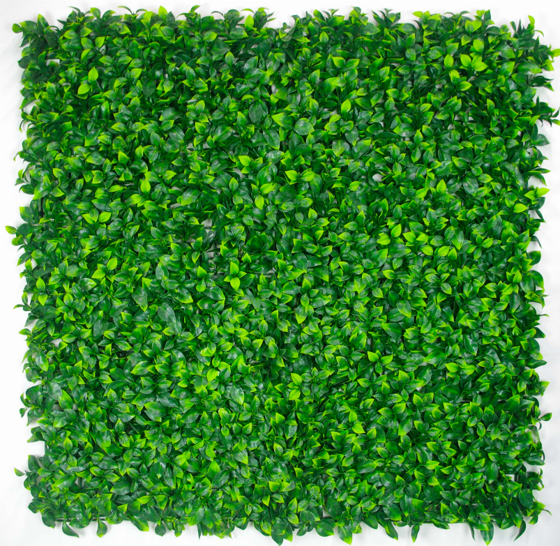 Jasmine Green Wall 32.29 square foot UV Protected