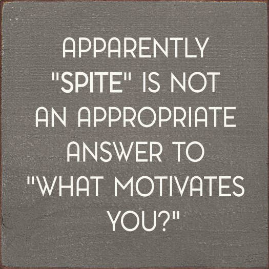 Apparently "Spite" Is Not An Appropriate Answer...