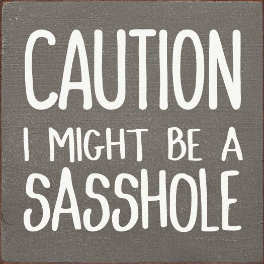 Caution: I might be a sasshole