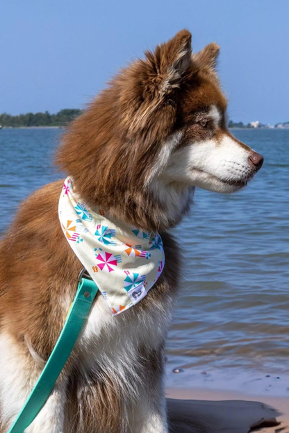 Sun & Shade Dog Bandana & Matching Keychain