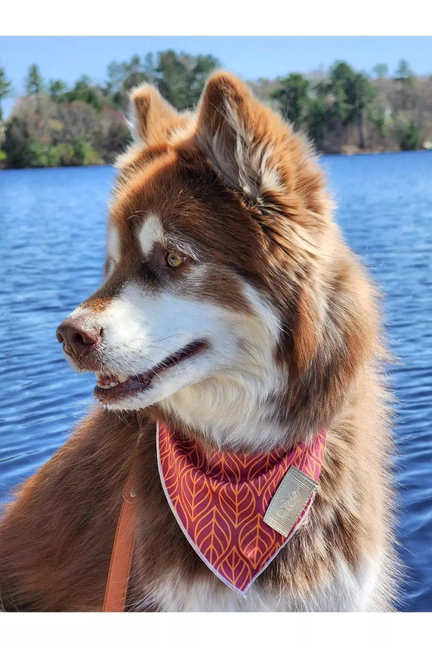 Twilight Trails Bandana & Matching Keychain