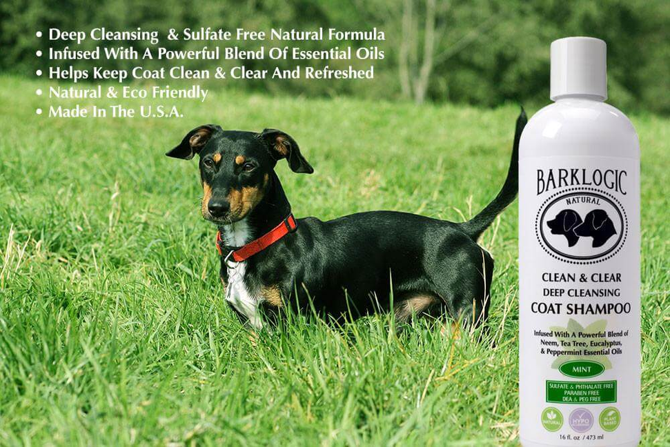 BarkLogic Clean & Clear Deep Cleansing Coat Shampoo