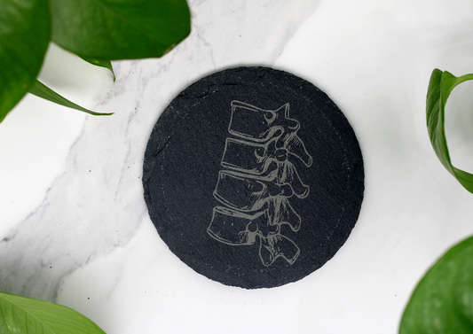 Spinal Column Anatomy Engraved Slate Coaster