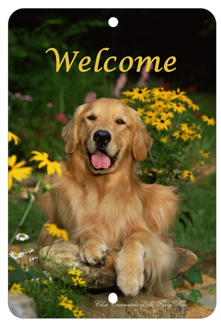 Golden Retriever  - Best of Breed  Indoor/Outdoor Aluminum Sign