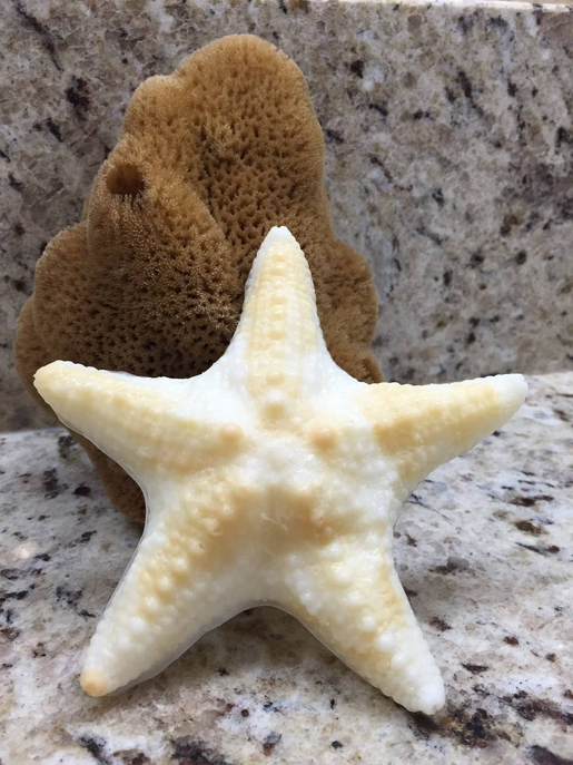 Starfish Soap