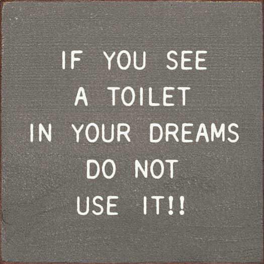 If You See A Toilet In Your Dreams Do Not Use It!!