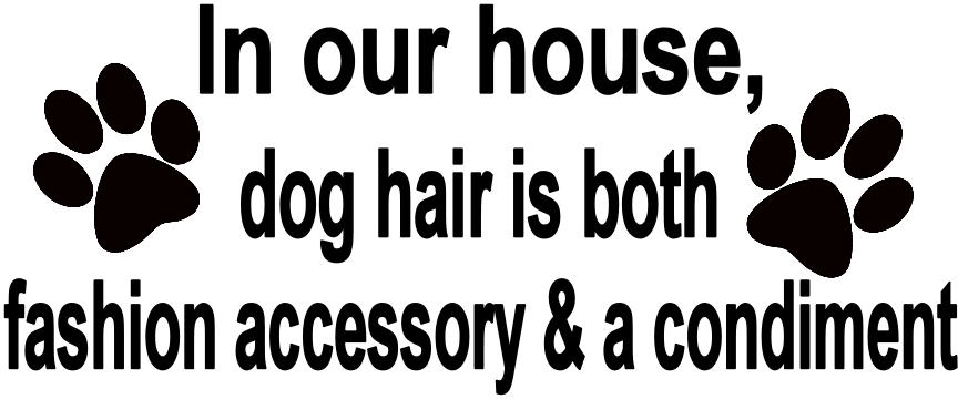 In Our House Dog Hair