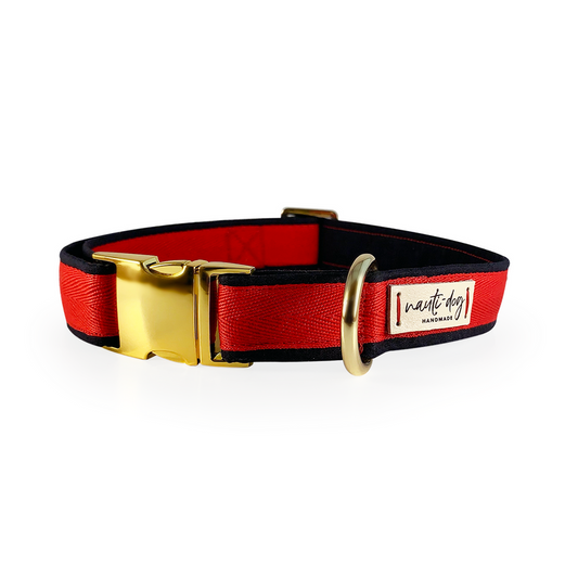 Thin Red Line Firefigther Memorial Buckle & Martingale Dog Collar