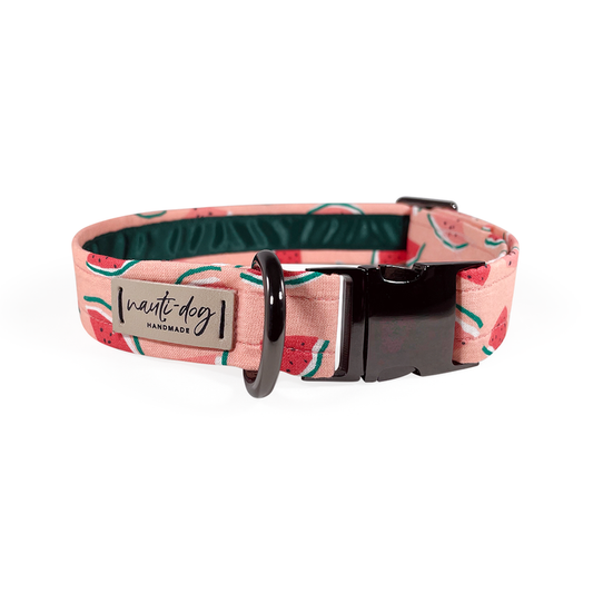 Summer Pink Watermelon Buckle Collar