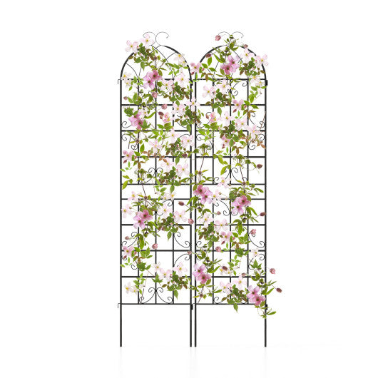 2 Pack Metal Garden Trellis Decorative for Climbing Plants-Black