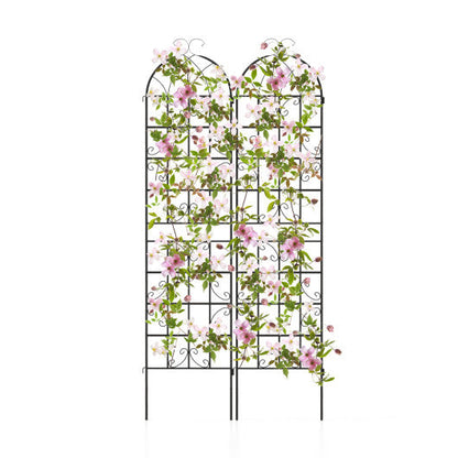 2 Pack Metal Garden Trellis Decorative for Climbing Plants-Black