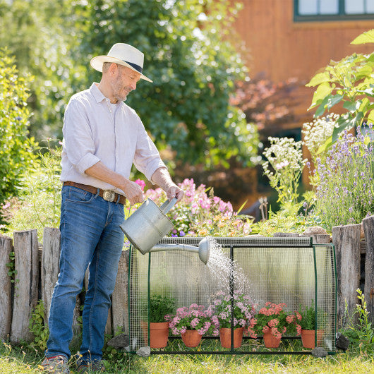 47.5 x 21.5 x 24 Inch Mini Greenhouse with Roll-up Zipper Door