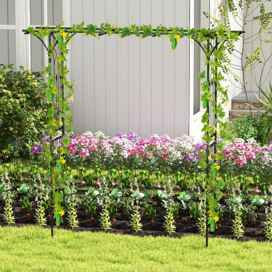 81 Inch Garden Arbor Metal Archway for Climbing Plants-Black