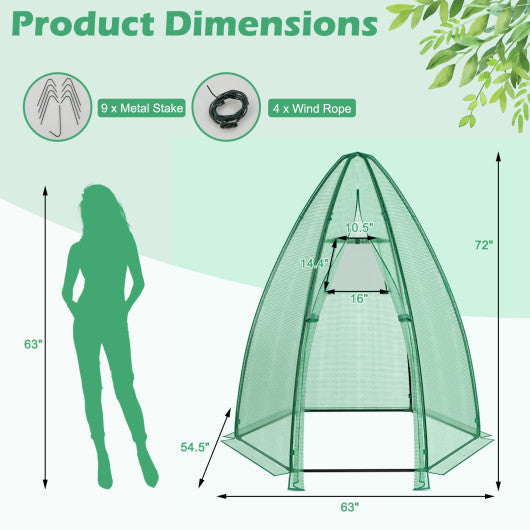 5.5 x 5.5 x 6 Feet Portable Mini Greenhouse with All-Weather PE Cover