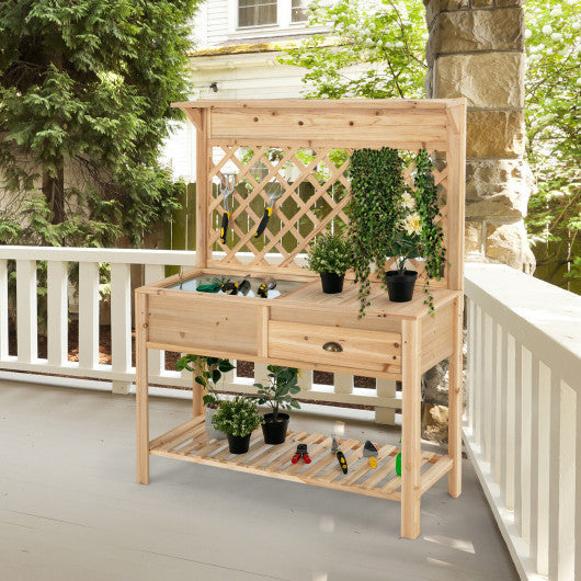 Wood Raised Garden Bed with Trellis