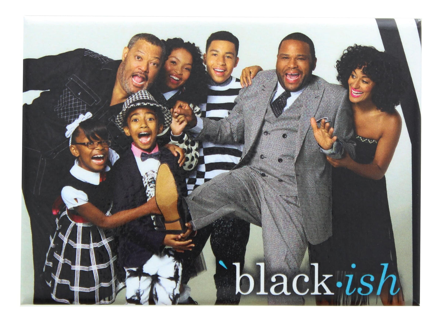 Black-ish Family 2.5 x 3.5 Inch Magnet