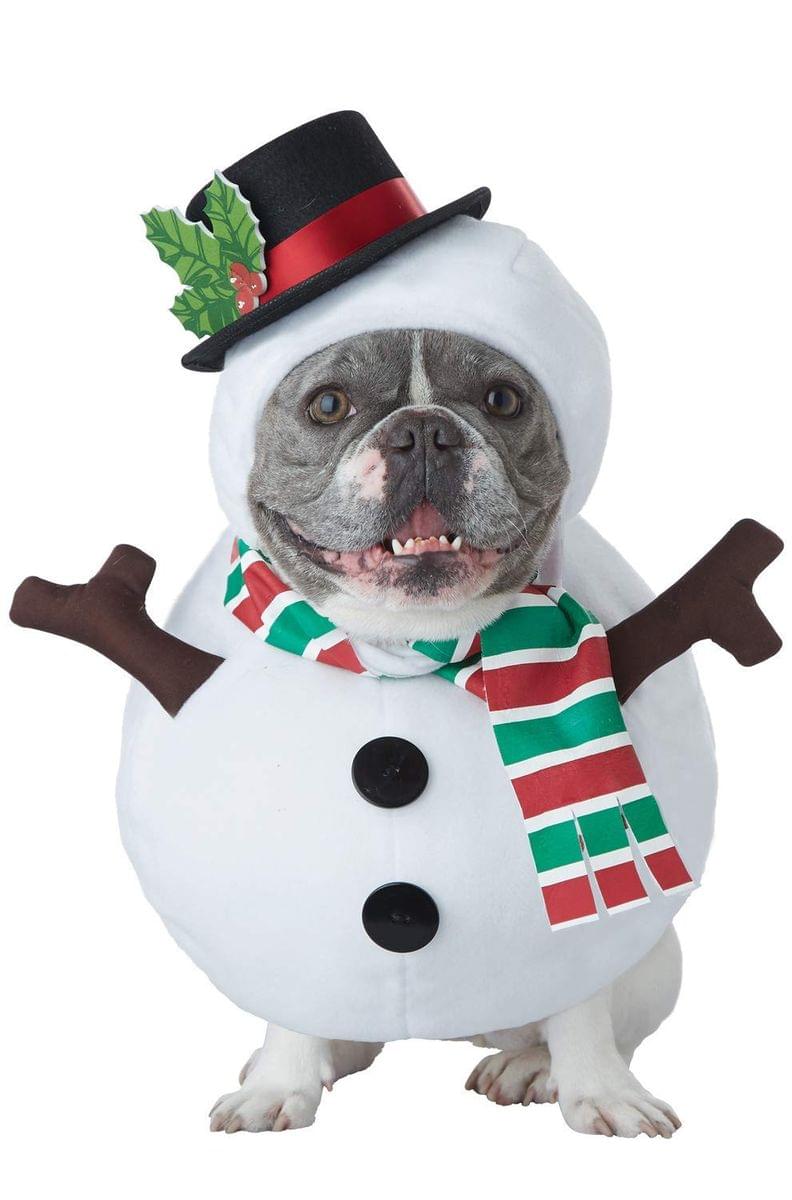 Snowman Dog Pet Costume Large