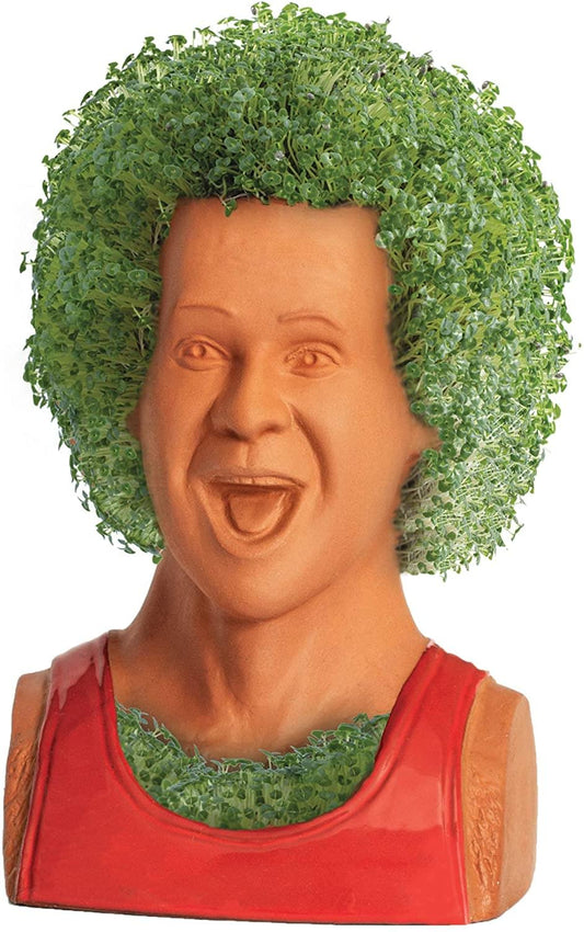 Richard Simmons Chia Pet Decorative Planter