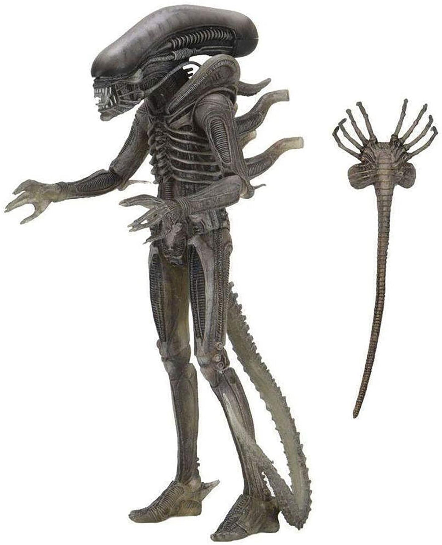 Alien 40th Anniversary 7 Inch Action Figure § Alien (Giger)