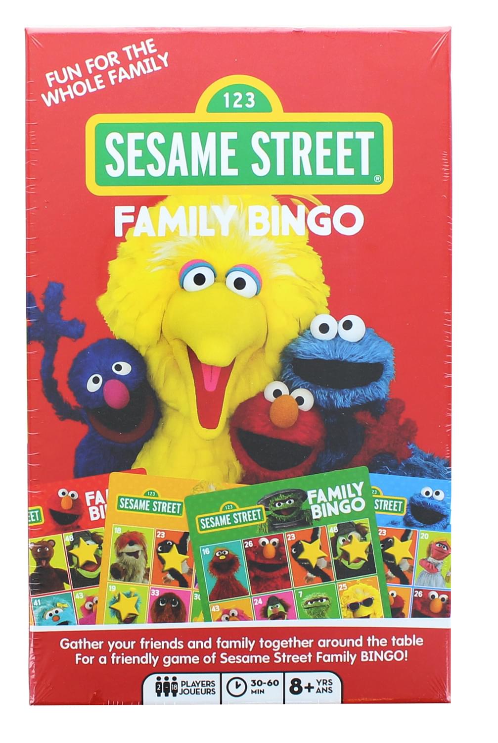 Sesame Street Family Bingo Game