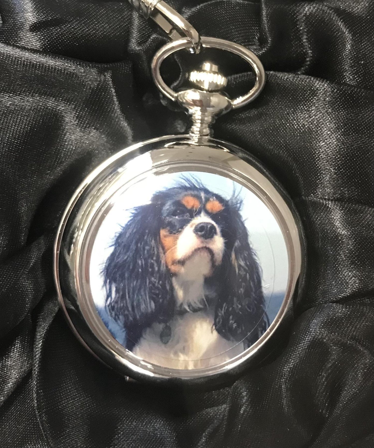 Boxx Picture Pocket watch Spaniel P5061.89